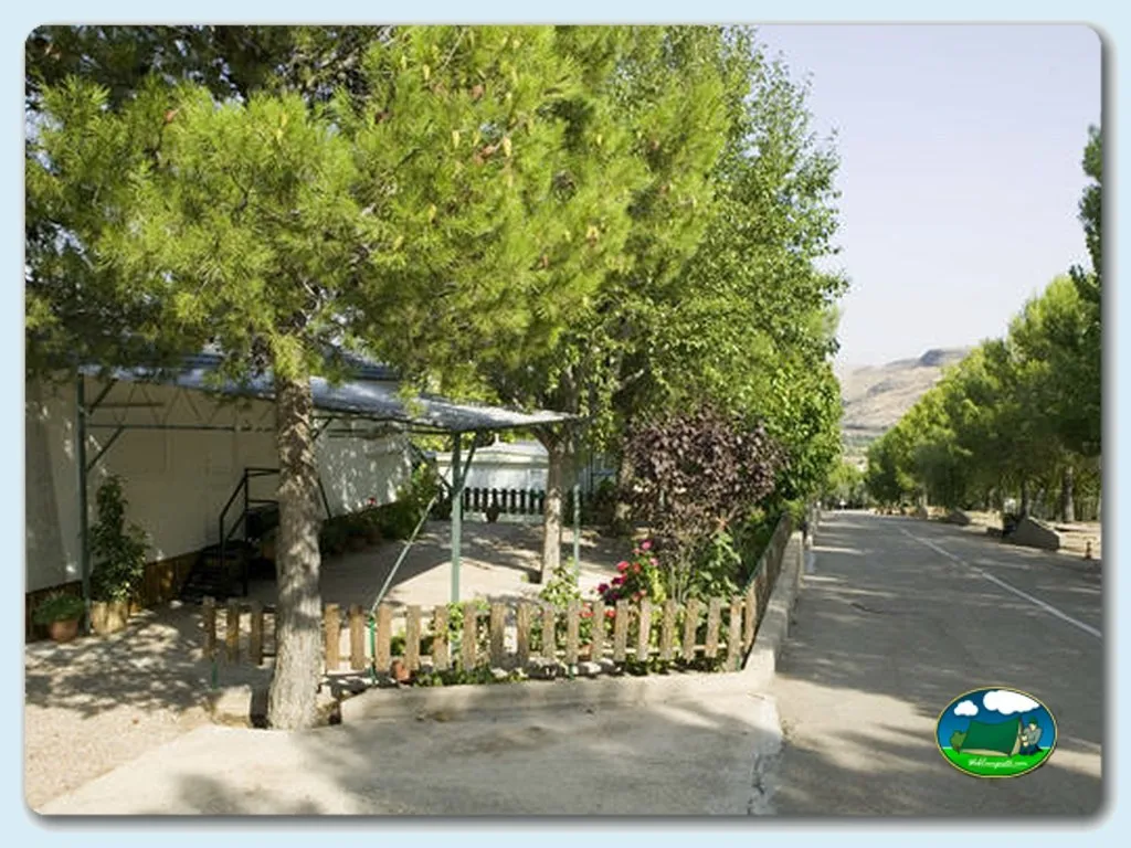 Parcela con bungalow y arboleda del Camping Saviñan Park, Saviñan (Zaragoza)