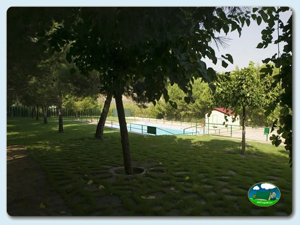 Piscina con vistas al bosque y zonas verdes del Camping Saviñan Park, Saviñan (Zaragoza)