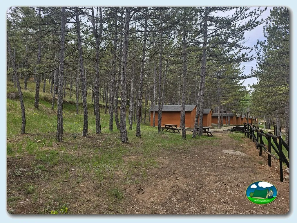 Glamping en sierra con cabañas de madera entre pinos del Camping Las Cabañas, Martin del Rio (Teruel)