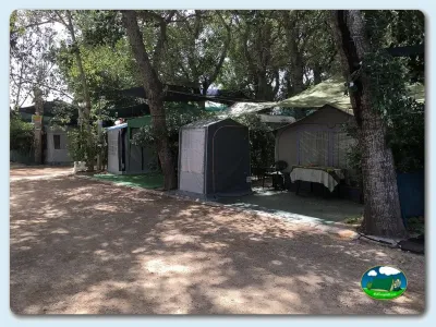 Parcelas con glamping bajo árboles del Camping Bon Dia, Oliva (Valencia)