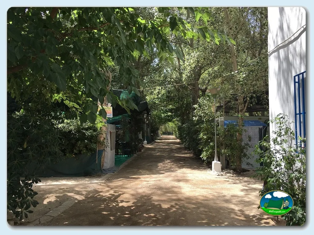 Camping Bon Dia en Oliva, Valencia - imagen 4