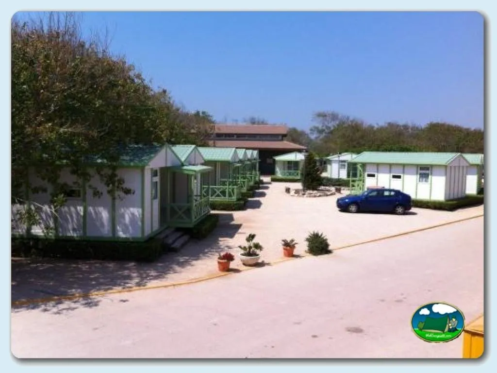 Bungalows con techos verdes y parcelas arenosas del Camping Euro Camping, Oliva (Valencia)