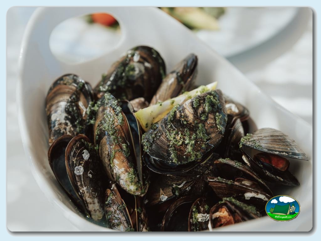 Foto de Camping Kikopark Oliva, Valencia, España