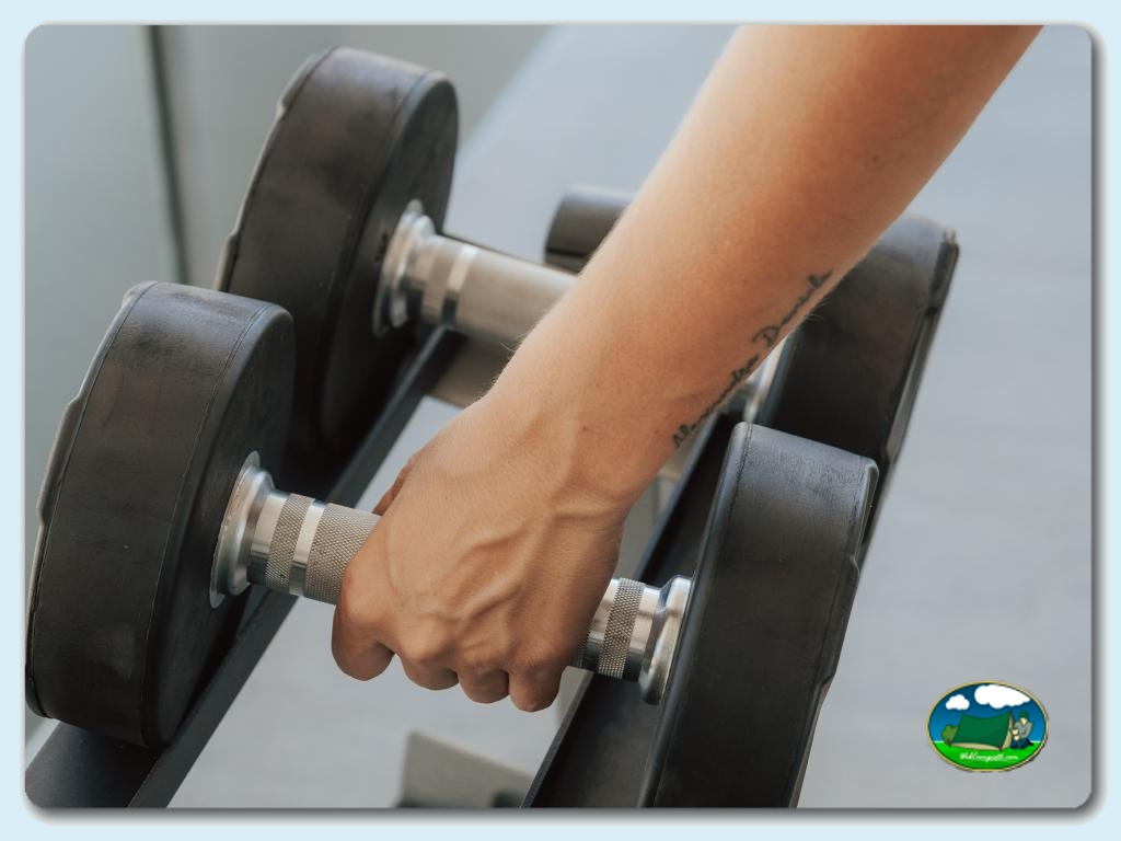 GYM &amp; WELLNESS CENTRE en Camping Kikopark Oliva, Valencia, España