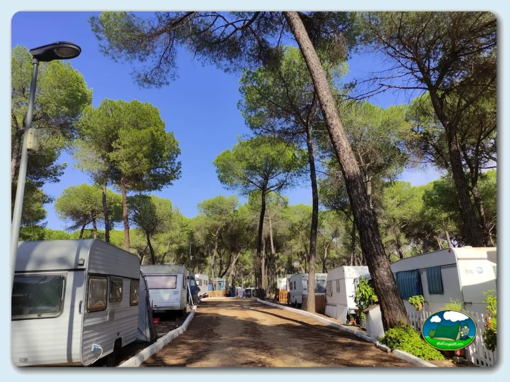Parcelas con mobil-home bajo pinar del Camping Dehesa Nueva, Aznalcázar (Sevilla)