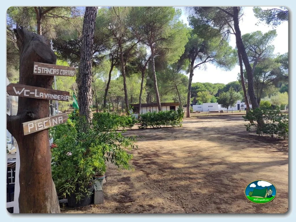 Parcela entre pinos con señalización de servicios del Camping Dehesa Nueva, Aznalcázar (Sevilla)
