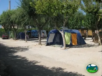 Parcela con tienda de acampada y sombra de árboles del Camping L`Alqueria, Gandía (Valencia)