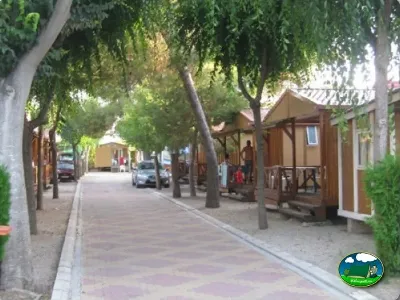 Bungalow con sombraje de árboles del Camping L`Alqueria, Gandía (Valencia)