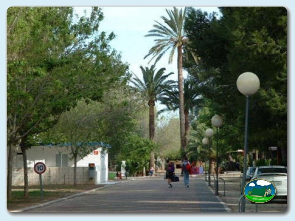 Zonas comunes en Camping L`Alqueria, Valencia, España