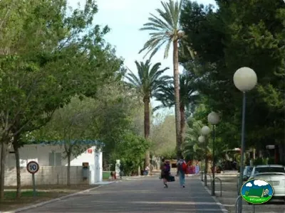 Entrada del recinto con palmeras y zonas verdes del Camping L`Alqueria, Gandía (Valencia)