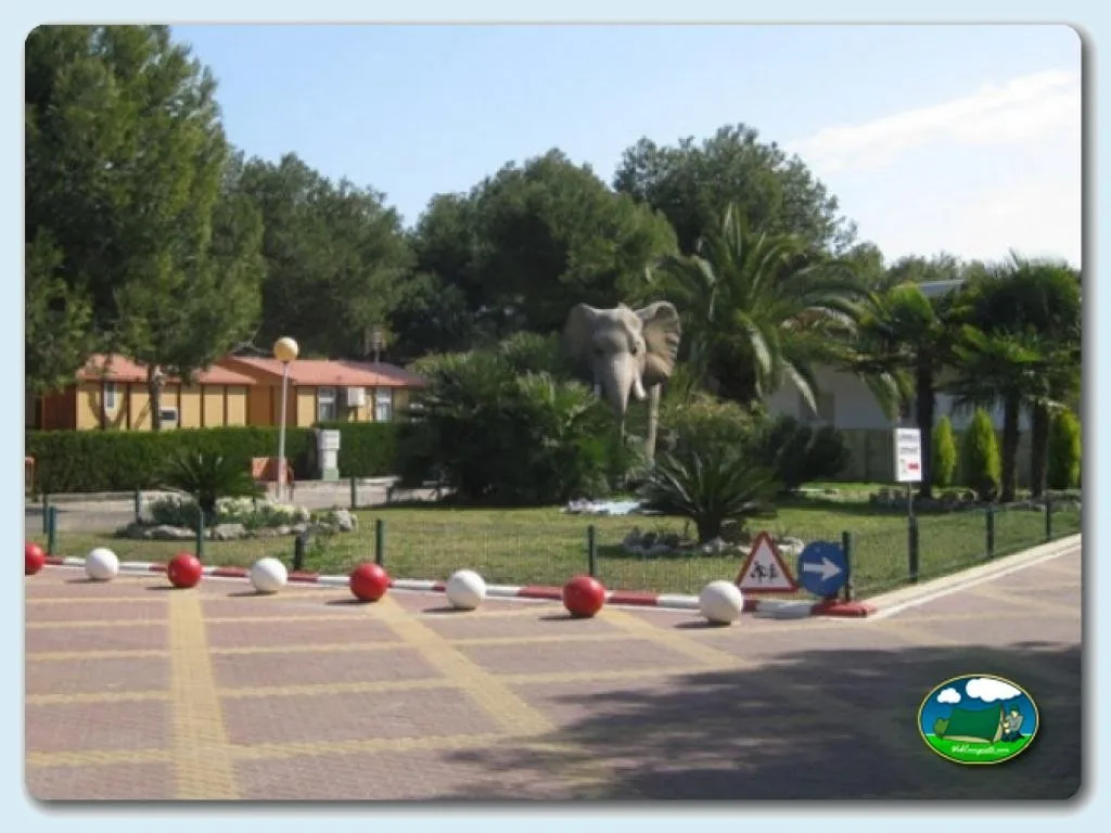 Foto de Camping L`Alqueria, Valencia, Comunidad Valenciana, España - imagen 48