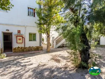 Recepción y servicios con áreas comunes arboladas del Camping San Vicente, Xeraco (Valencia)