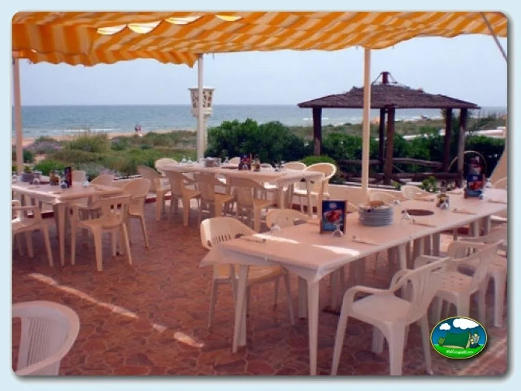 Foto de Camping San Vicente, Valencia, Comunidad Valenciana, España - imagen 45