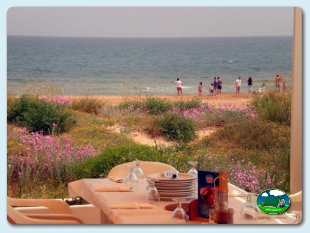 Restaurante - Terraza en Camping San Vicente, Valencia, España