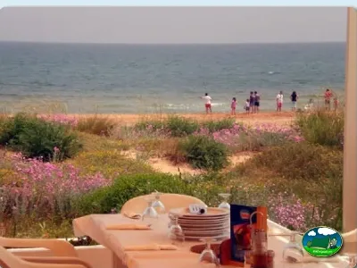 Playa junto al mar con flores silvestres y terraza del Camping San Vicente, Xeraco (Valencia)