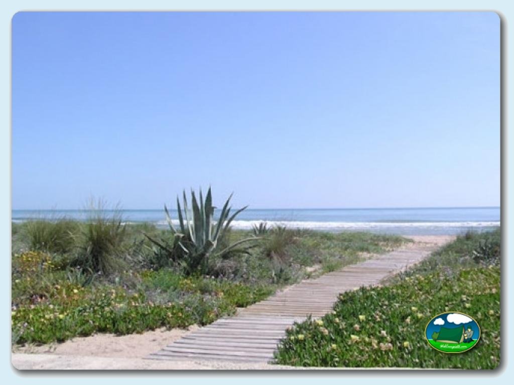 Entorno en Camping San Vicente, Valencia, España