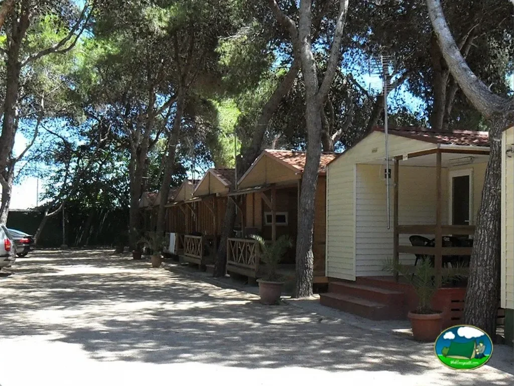 Camping Les Barraquetes en Sueca, Valencia - imagen 5