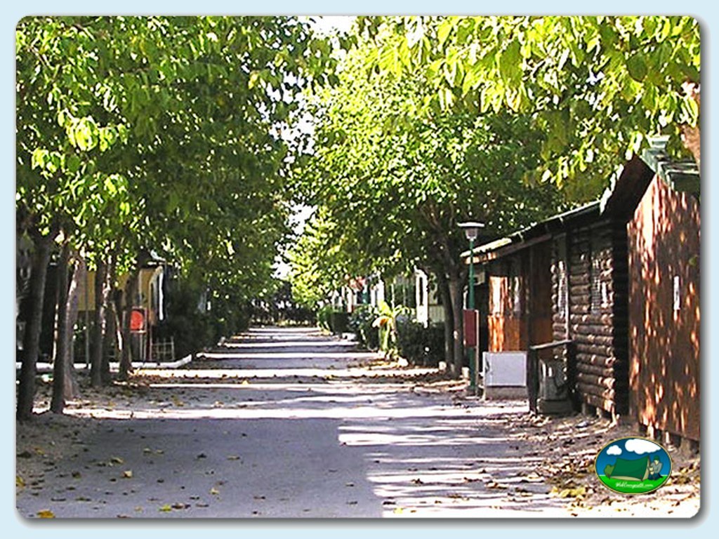 foto del camping Camping Les Palmeres