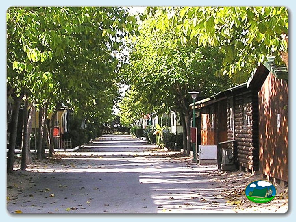 foto del camping Camping Les Palmeres