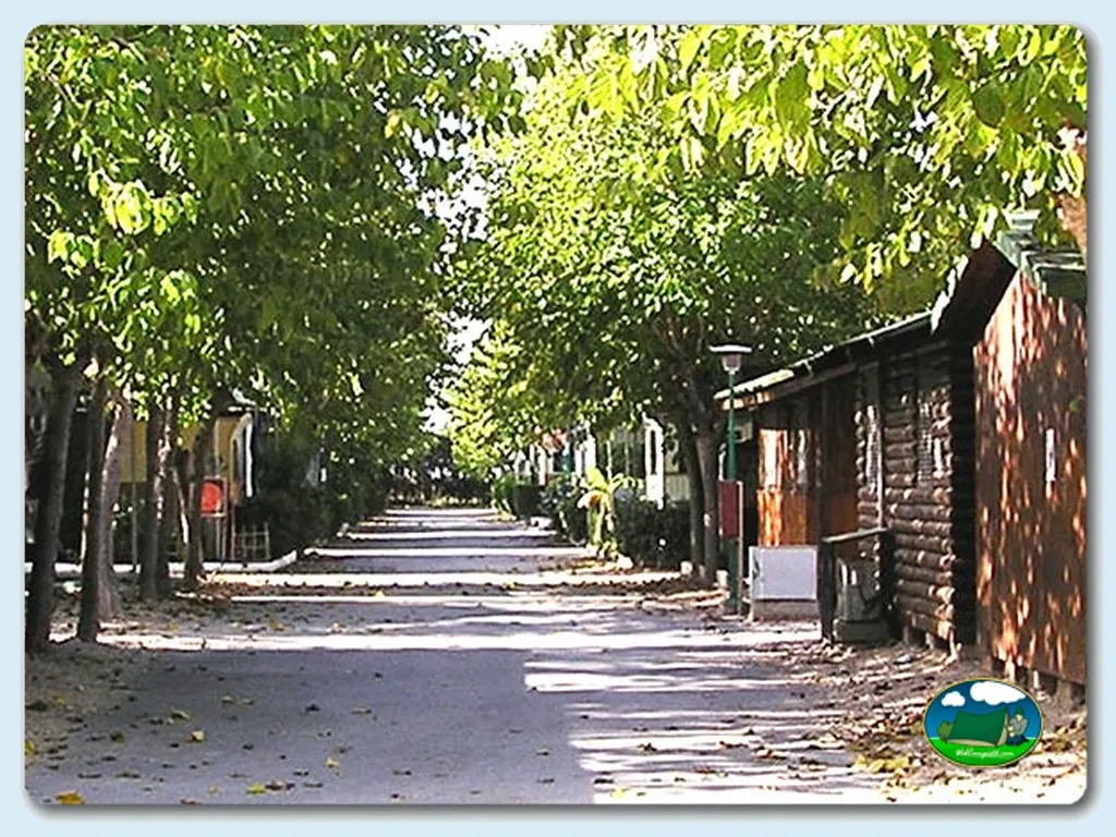 Camping Les Palmeres en Sueca, Valencia