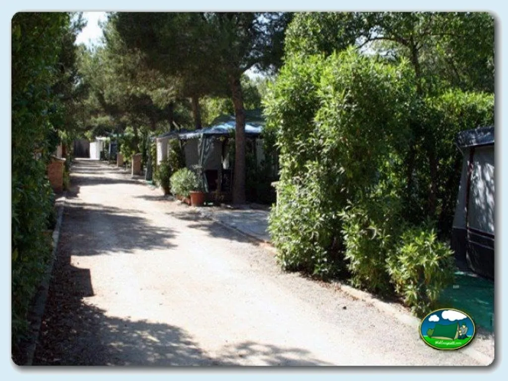 Camping Park en El Saler, Valencia - imagen 4
