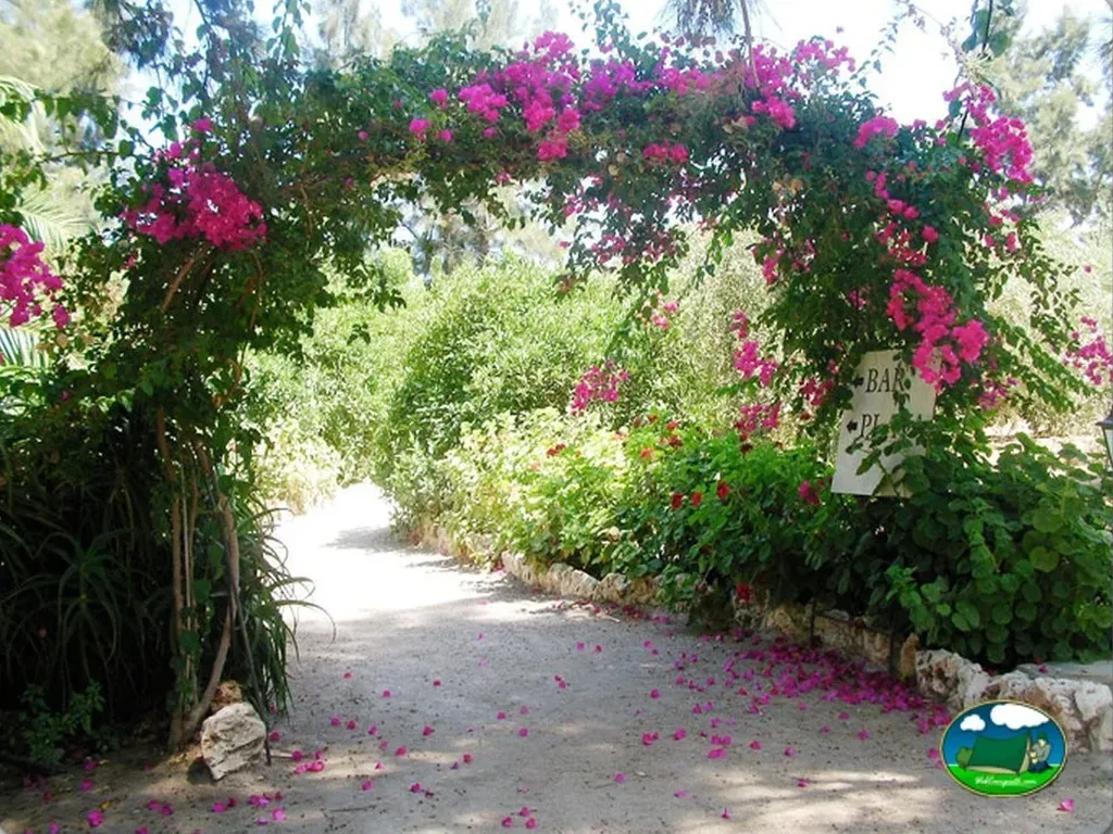 Camping Malvarrosa de Corinto en Sagunto - imagen 5