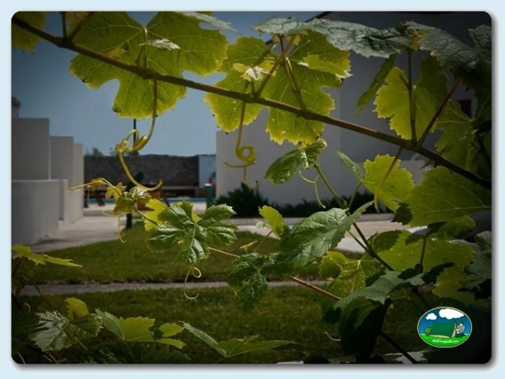 Camping Peniche Praia en Peniche - imagen 2