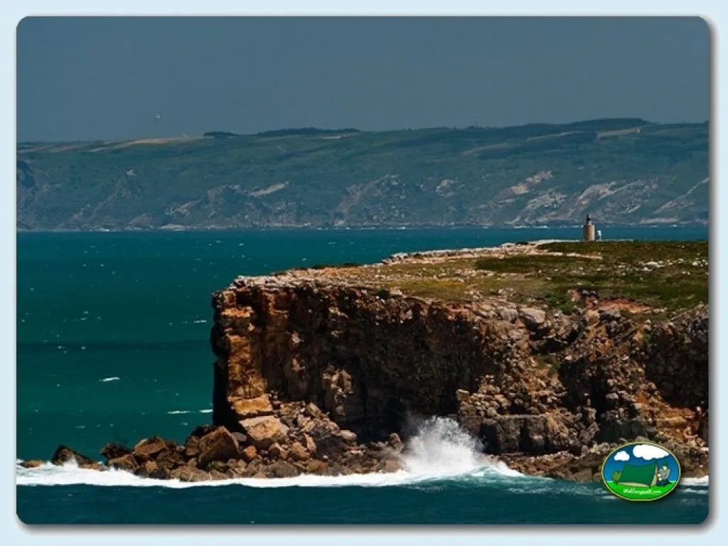 Camping Peniche Praia en Peniche - imagen 4