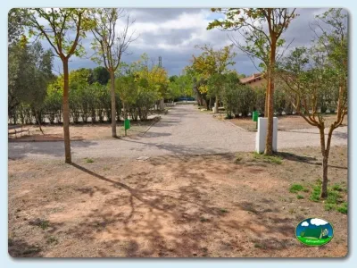 Parcela con árboles y camino de acceso del Camping La estanca, Alcañiz (Teruel)