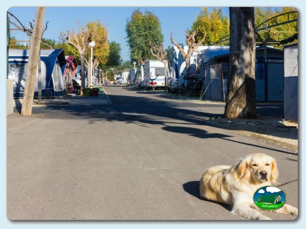 foto del camping Camping Jávea