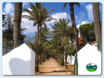 Glamping con vistas a la montaña entre palmeras del Camping Los Pinos, Denia (Alicante)