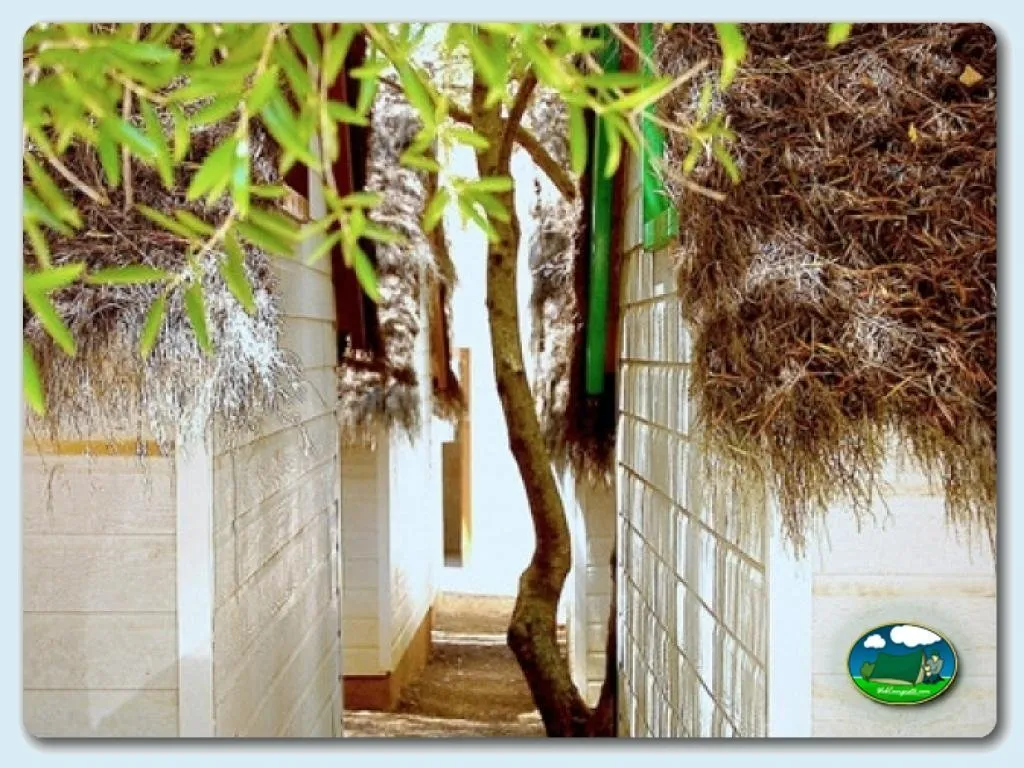 Foto de Camping Son Bou, Menorca , Baleares, España - imagen 59