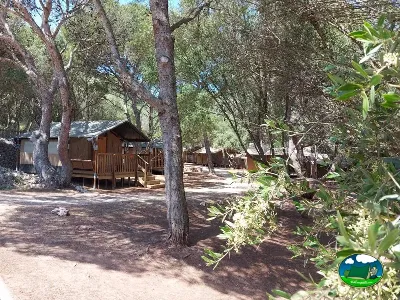 Cabaña entre árboles con parcela sombra del Camping Son Bou, Alaior (Menorca)