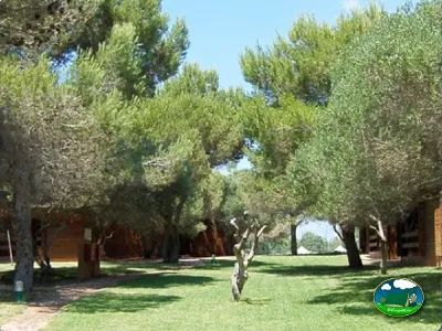 Parcela bajo pinos con bungalows del Camping Son Bou, Alaior (Menorca)