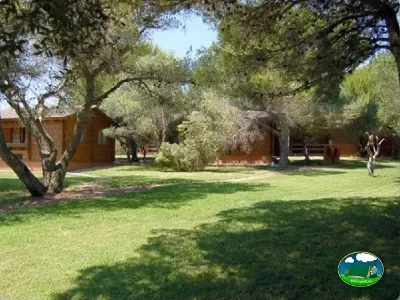 Parcela arbolada con bungalows de madera del Camping Son Bou, Alaior (Menorca)