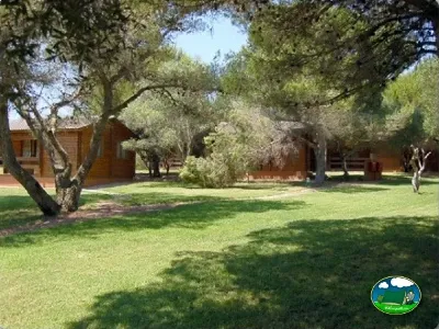 Parcela arbolada con bungalows de madera del Camping Son Bou, Alaior (Menorca)