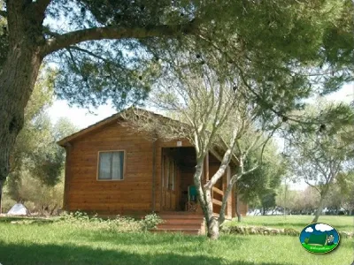 Cabaña de madera entre árboles del Camping Son Bou, Alaior (Menorca)