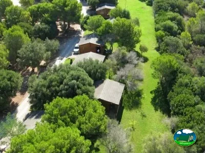 Bungalow entre árboles con parcelas arboladas del Camping Son Bou, Alaior (Menorca)