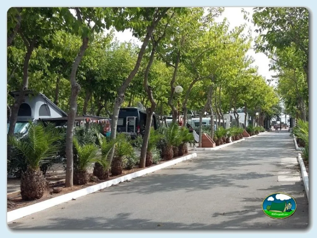 Camping Playa Tropicana en Castellón - imagen 5