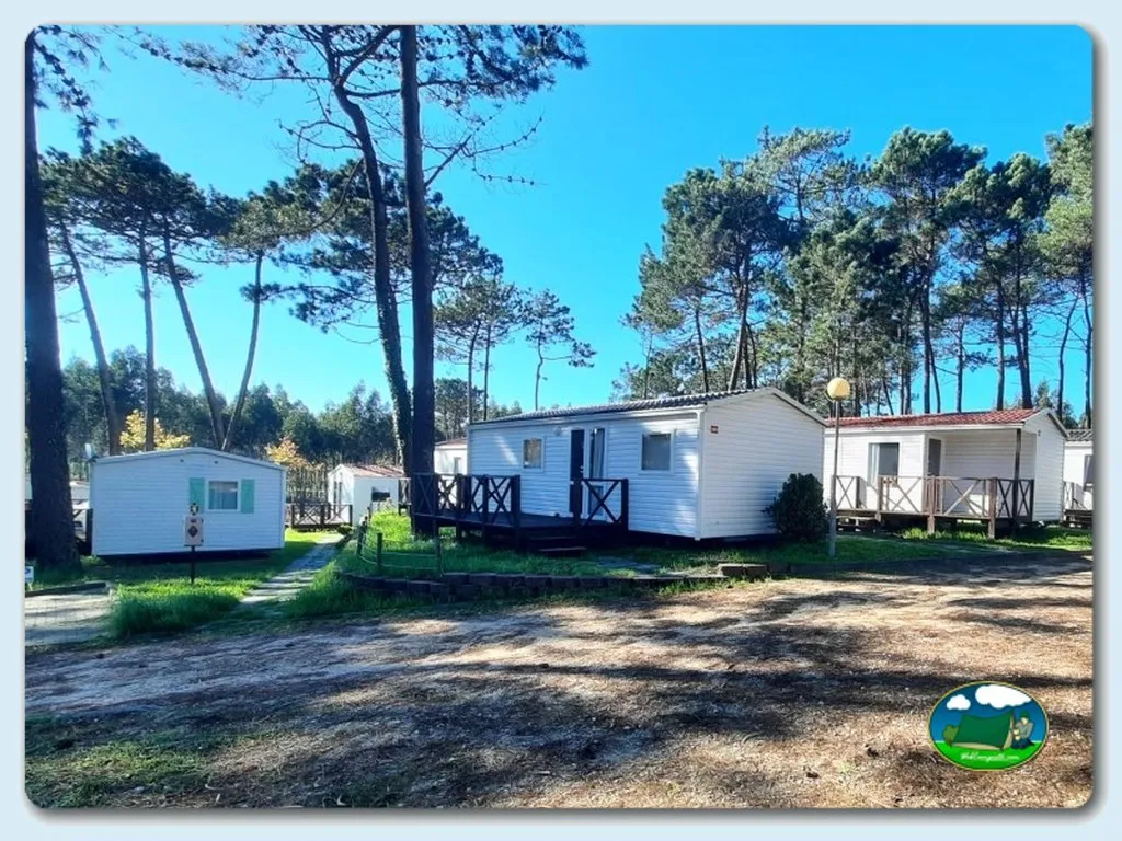 Mobil-homes entre pinos con cielo despejado del Camping Orbitur Foz do Arelho, Caldas da Rainha (Leiria)