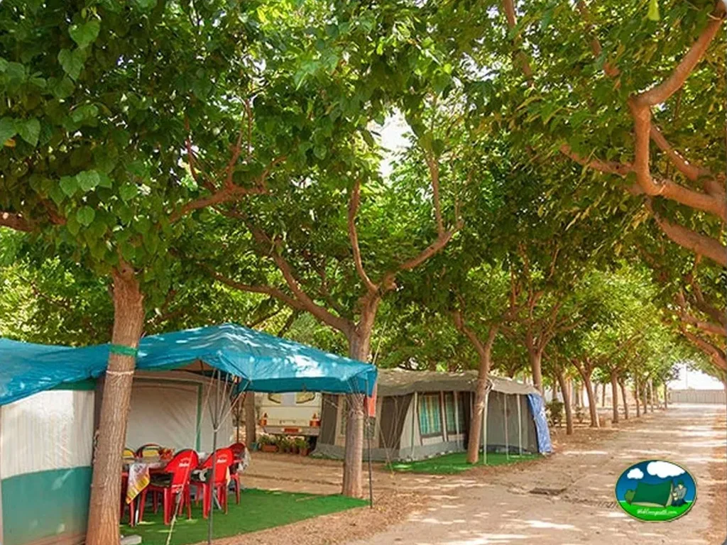 Parcela con tienda de acampada y zona de estar bajo árboles del Camping Vizmar, Peñiscola (Castellón)