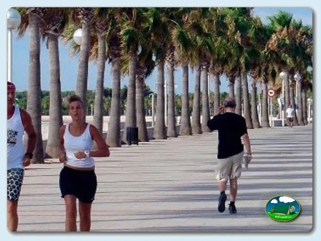 Camping Estanyet en Les Cases d'Alcanar / Tarragona, Tarragona - imagen 4