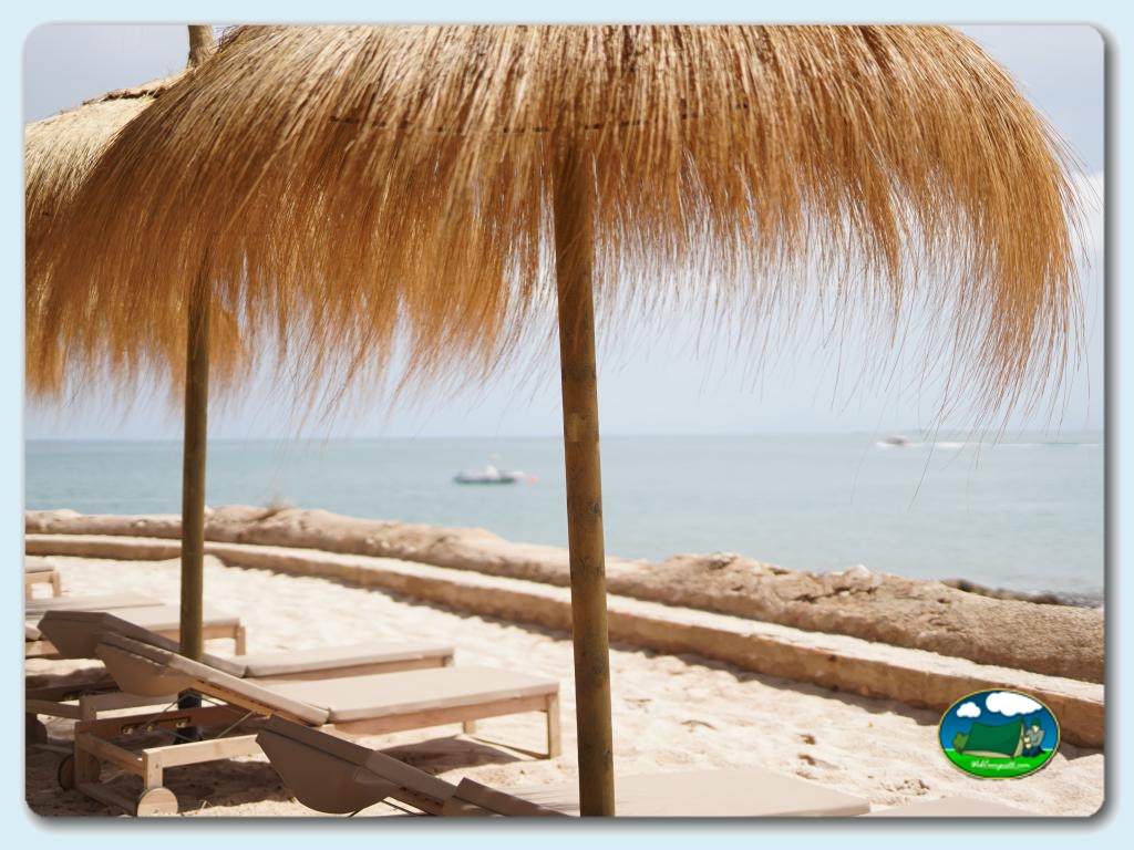 foto del camping Camping Alfacs
