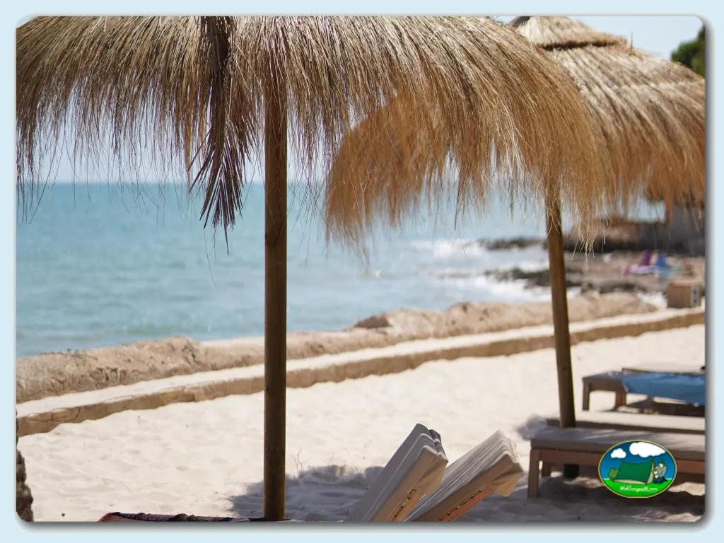 Playa junto al mar con tumbonas y sombrillas de palma del Camping Alfacs, Alcanar (Tarragona)