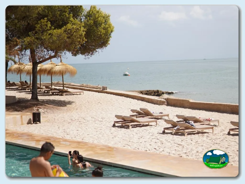 Playa junto al mar con piscina, hamacas y sombrillas del Camping Alfacs, Alcanar (Tarragona)