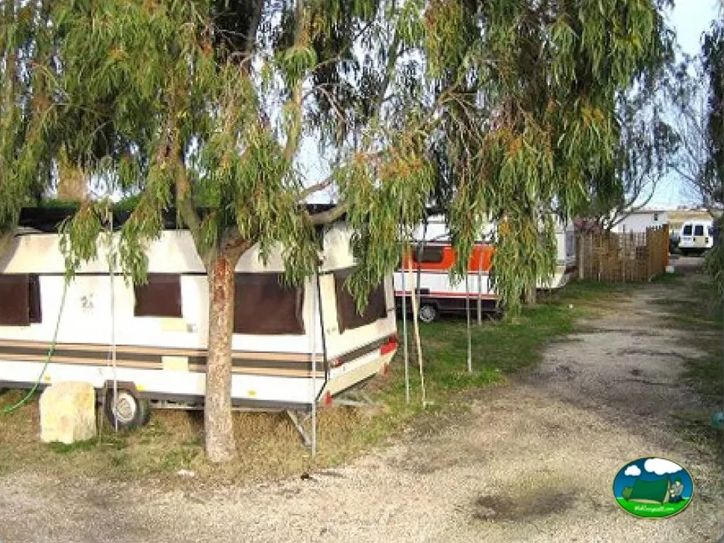Mobil-home entre árboles del Camping La Tancada, La Ràpita (Tarragona)