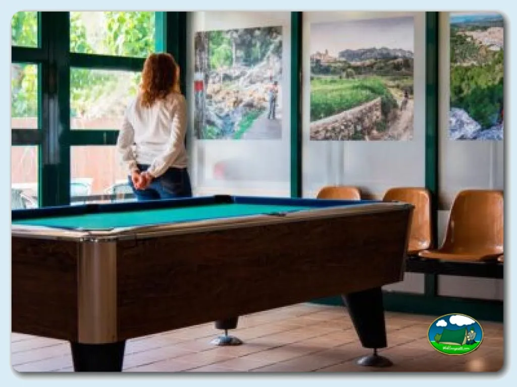 Sala de ocio con billar y vistas al entorno del Camping Tivissa, Tivissa (Tarragona)