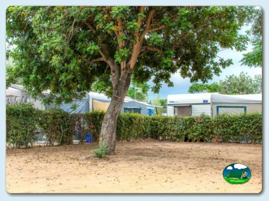 Camping Ametlla en L'Ametlla de Mar -Tarragona, Tarragona - imagen 4
