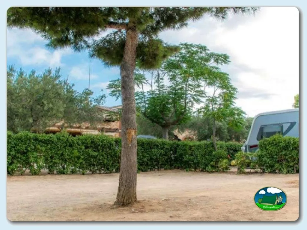 Camping Ametlla en L'Ametlla de Mar -Tarragona, Tarragona - imagen 3