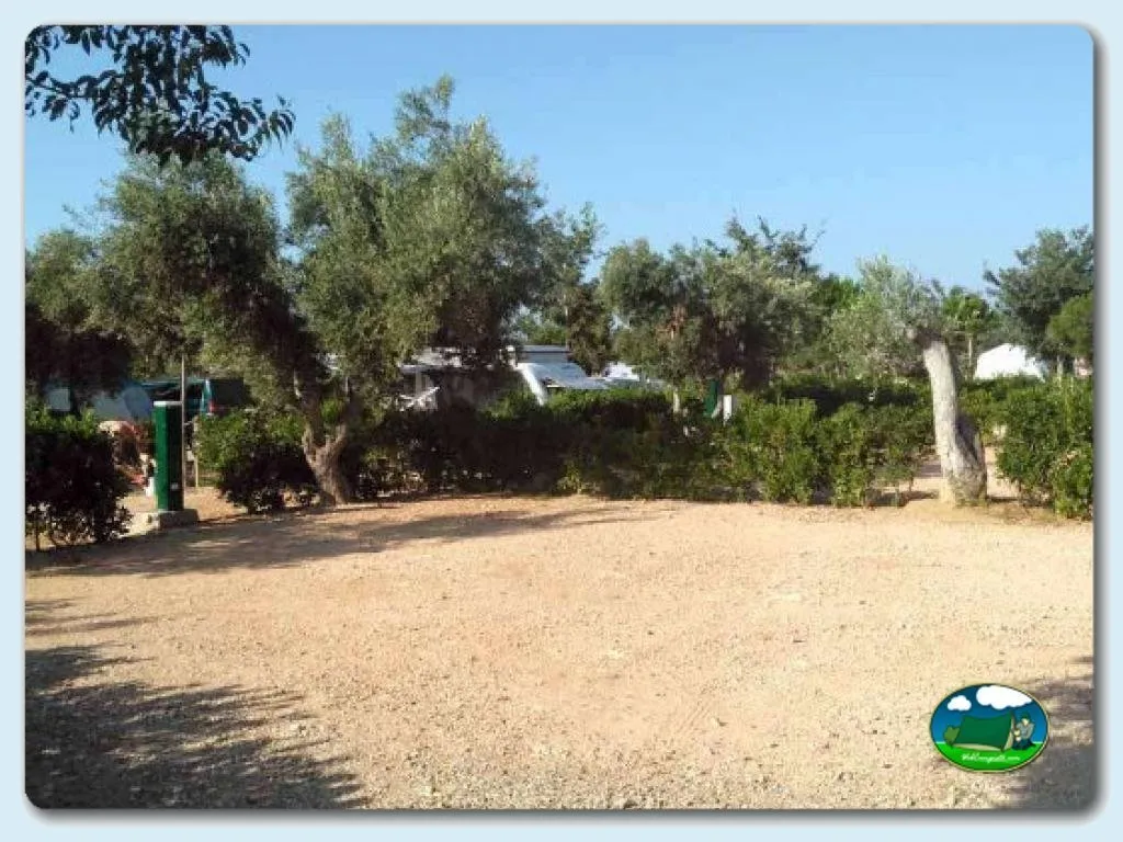 Camping Ametlla en L'Ametlla de Mar -Tarragona, Tarragona - imagen 5